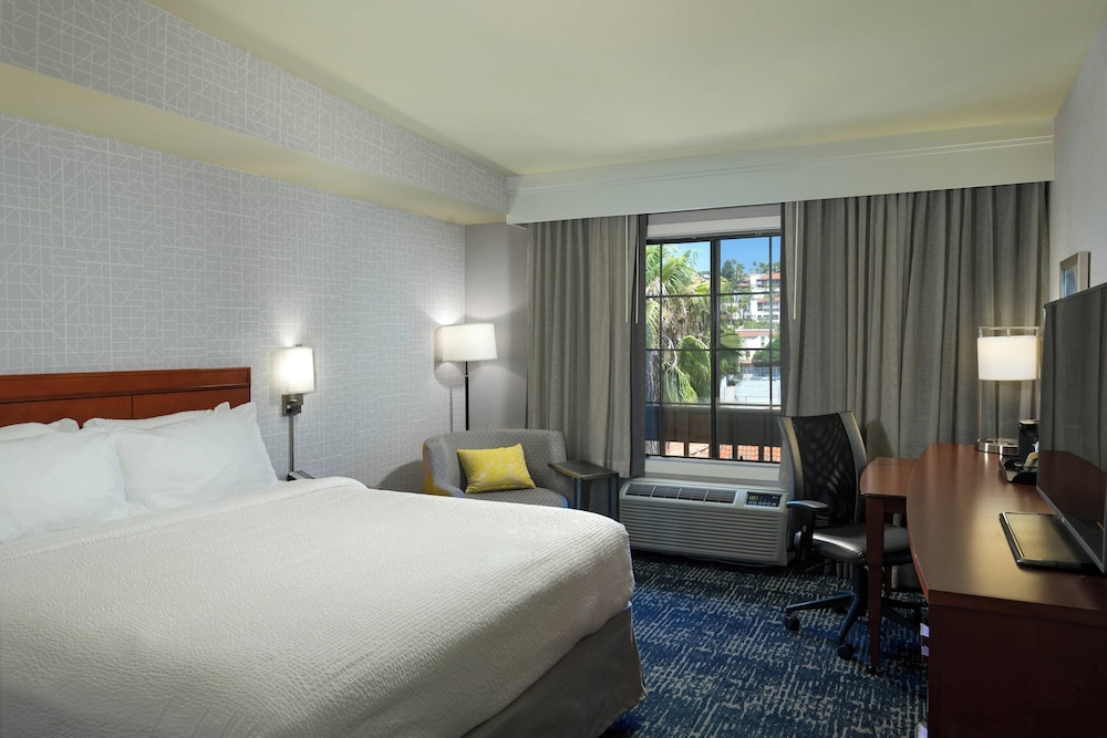 Room, 1 King Bed (Mobility Accessible, Roll-in Shower) photo 1