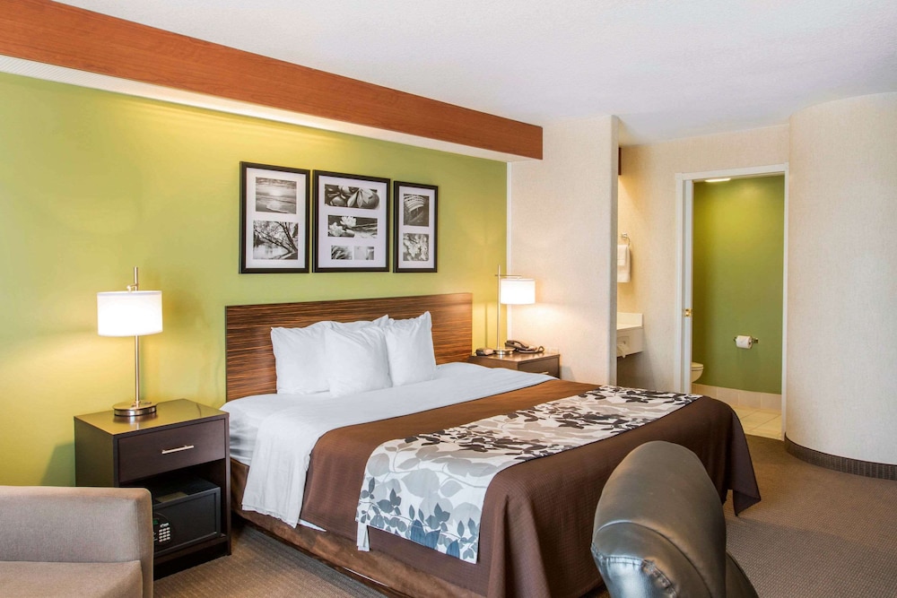 Room, 1 King Bed, Accessible, Non Smoking - Photo 4