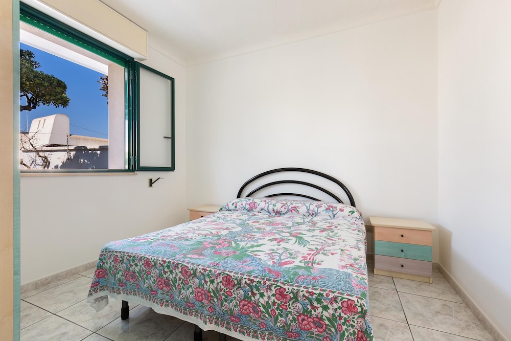 Basic Apartment