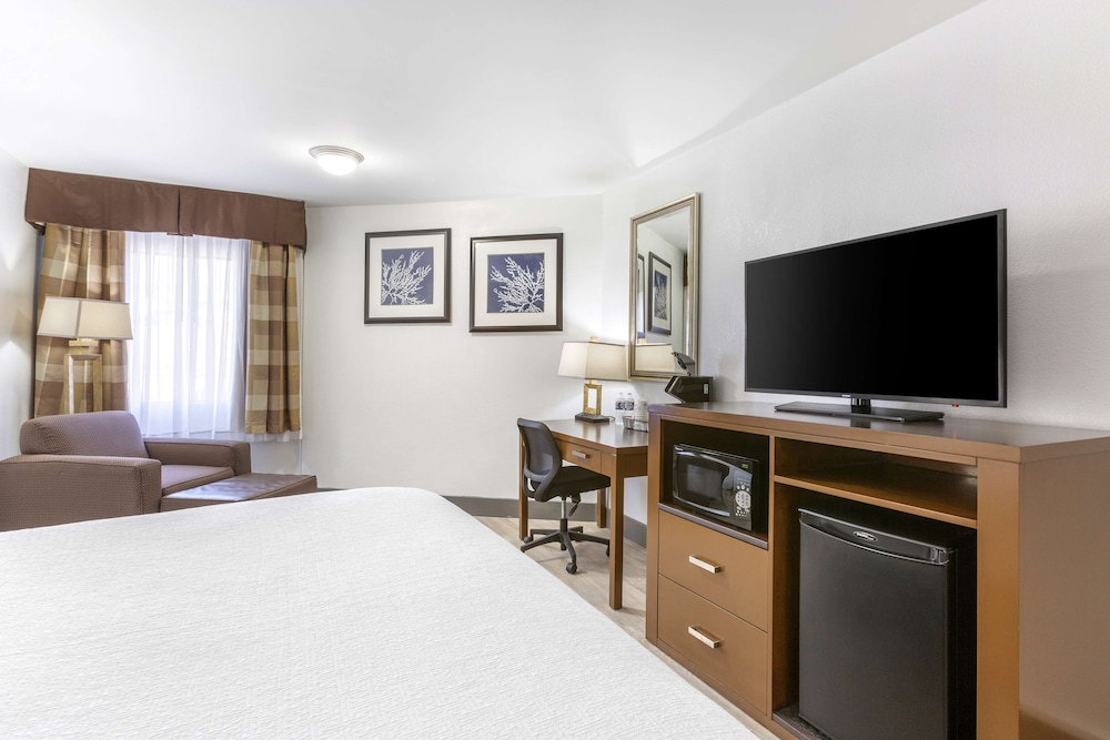 Standard Room, 1 King Bed, Non Smoking, Refrigerator & Microwave - Photo 3