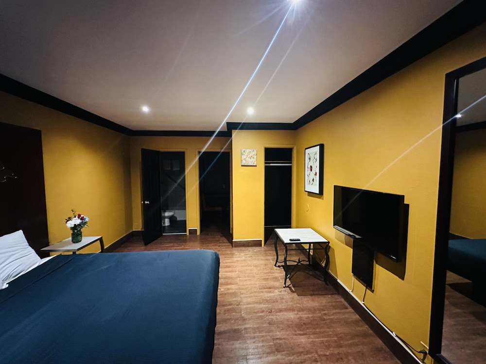 Signature Studio Suite, 1 King Bed photo 2