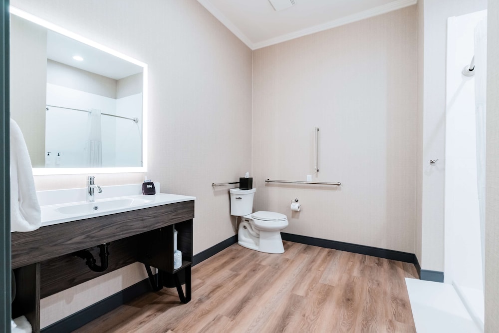Room, 1 King Bed, Accessible (Mobility & Roll-in Shower) photo 1