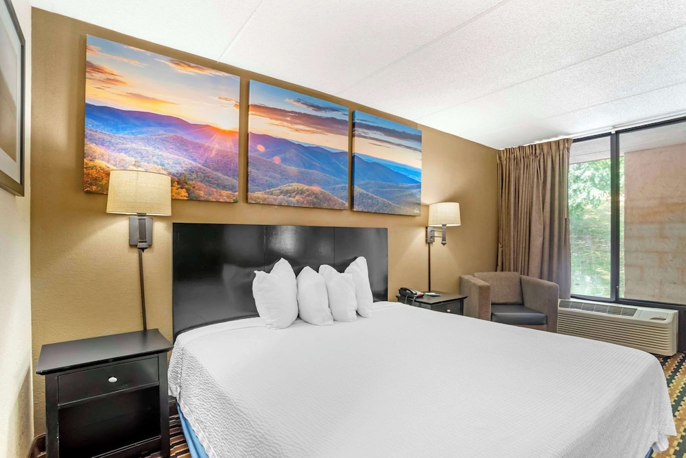 Room, 1 King Bed, Accessible, Non Smoking photo 1