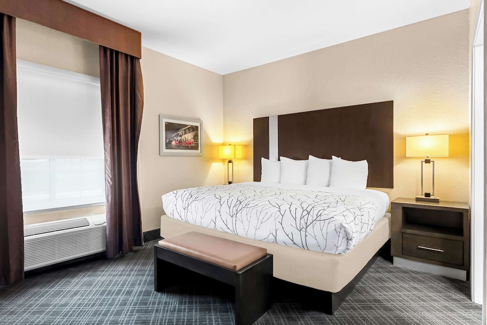 Suite, 1 King Bed, Non Smoking, Refrigerator & Microwave - Photo 1