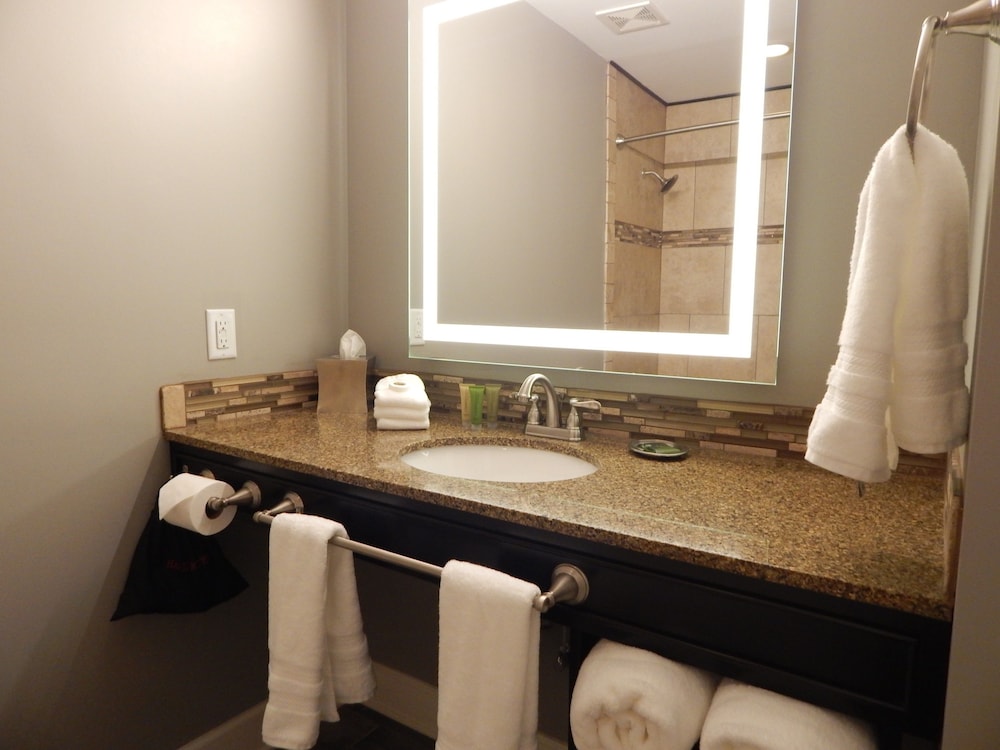 Standard Room, 1 King Bed, Accessible, Refrigerator & Microwave - Photo 4