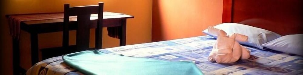 Single Room photo 1