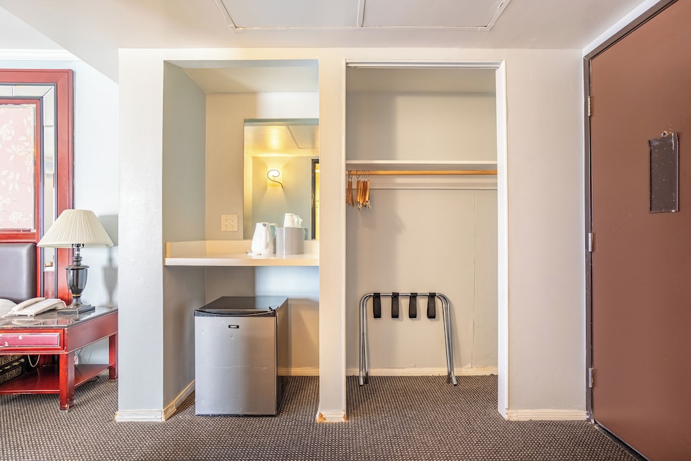 Single Room, 1 King Bed