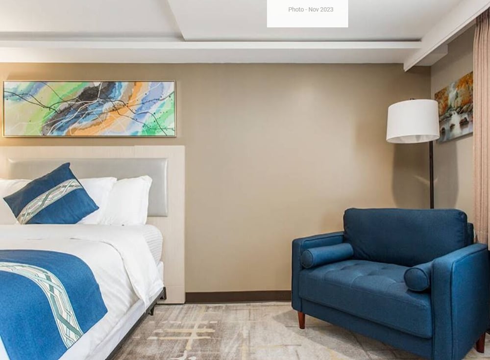 Comfort Single Room, 1 Queen Bed photo 1