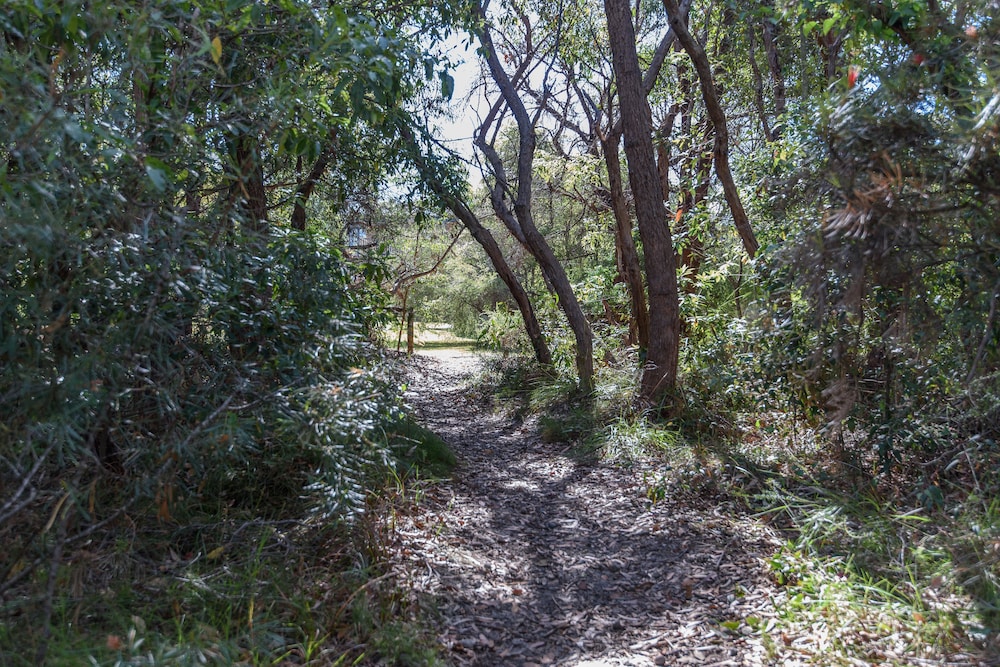 Nelsons Beachfront Cottage - Jervis Bay photo 2