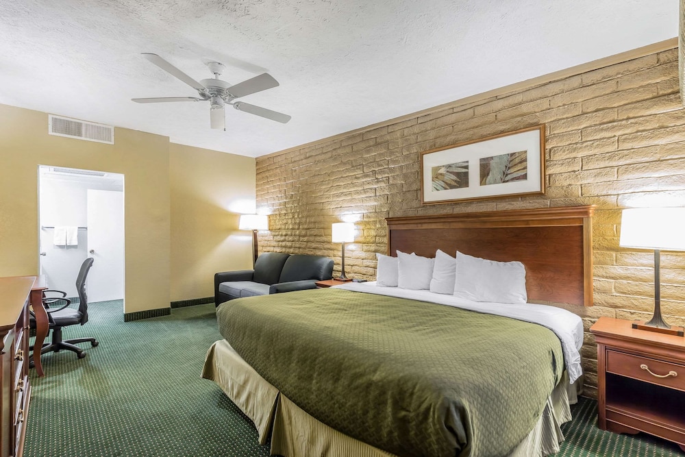 Room, 1 King Bed, Accessible, Non Smoking photo 1