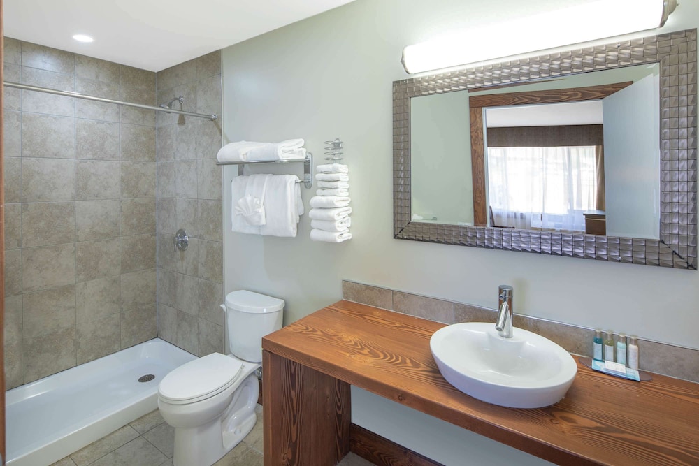 Studio Suite, Multiple Beds, Non Smoking, Ground Floor - Photo 4