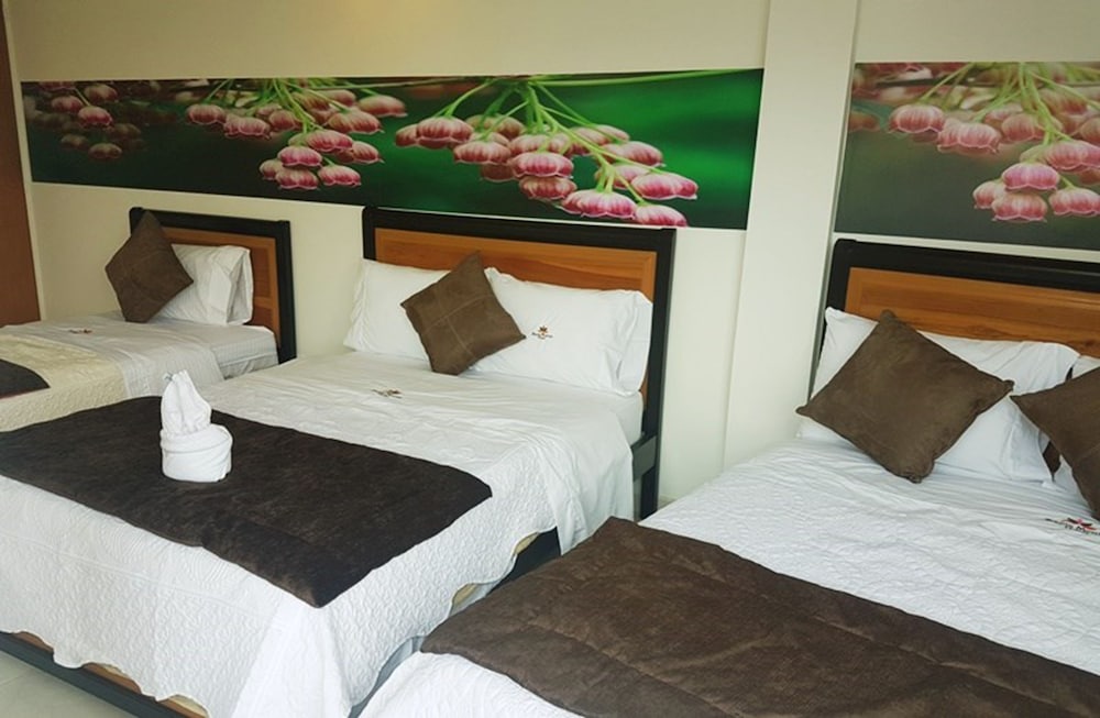 Basic Room, Multiple Beds, Non Smoking photo 3