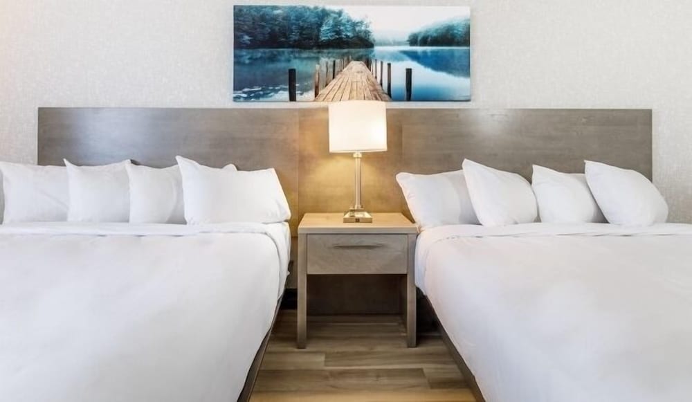 Executive Room, 2 Queen Beds photo 1