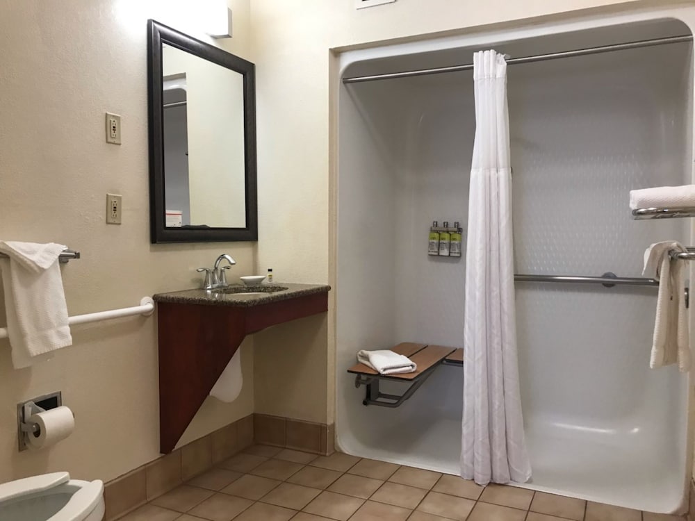 Suite, 1 Queen Bed, Roll-in Shower (Comm Access) - Photo 7