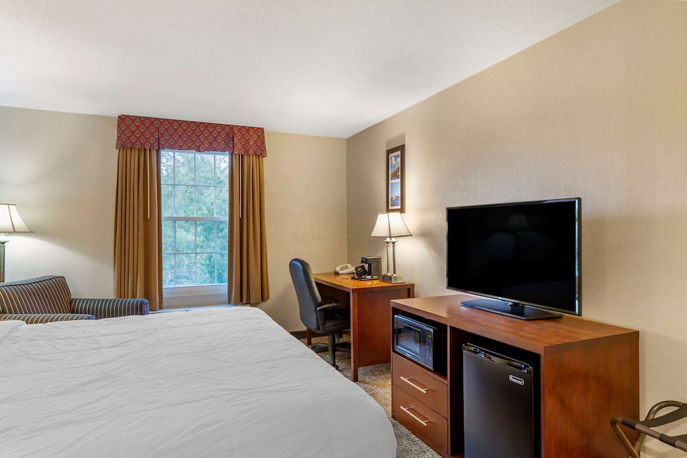 Room, 1 King Bed, Non Smoking photo 2