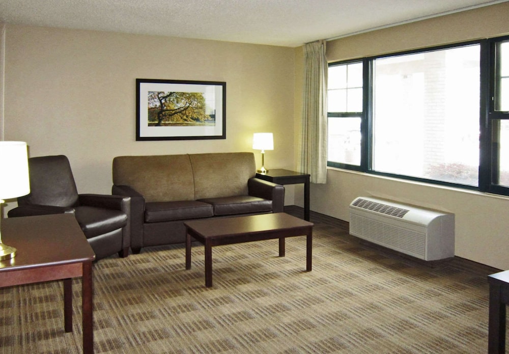Suite, 1 King Bed, Non Smoking (Efficiency) - Photo 3