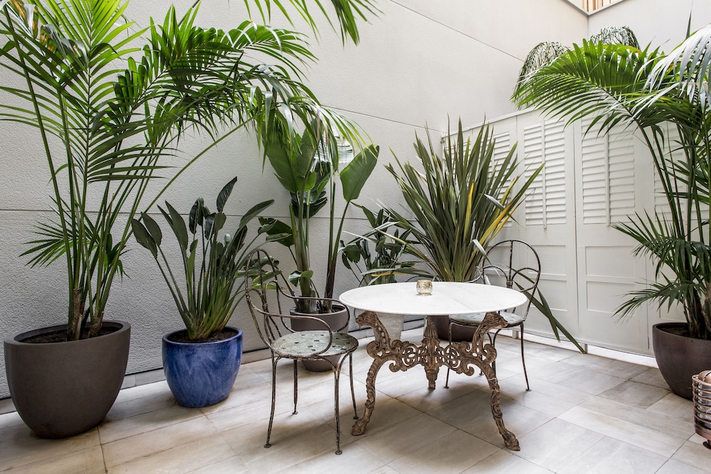 Premium Room, Patio photo 3