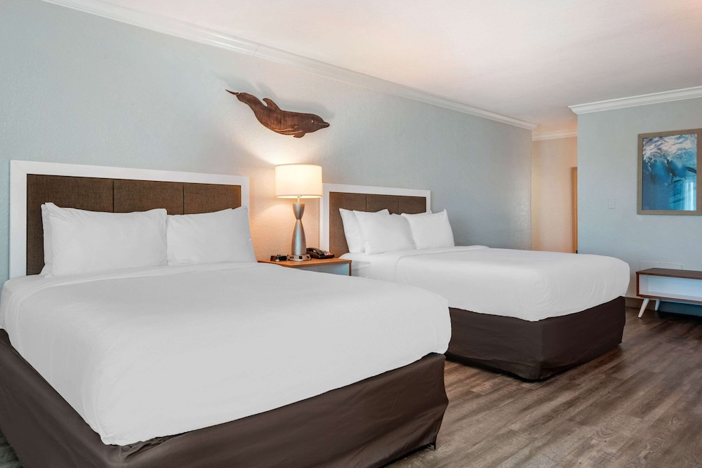 Dolphin Sands Clearwater Beach, an Ascend Collection Hotel, Foto 4