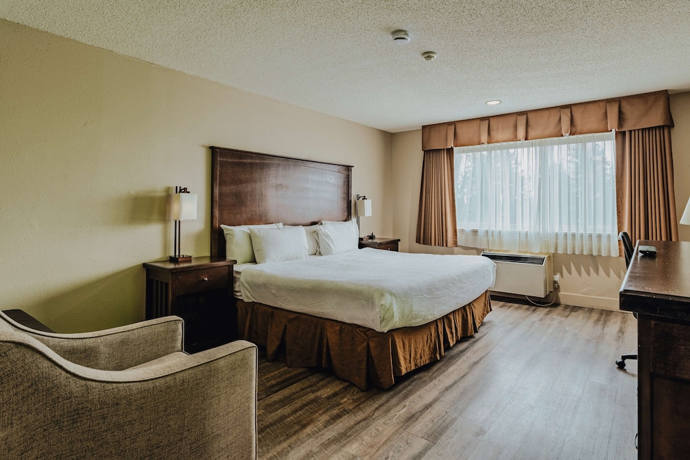 Standard Room, 1 King Bed, Accessible, Refrigerator & Microwave - Photo 1