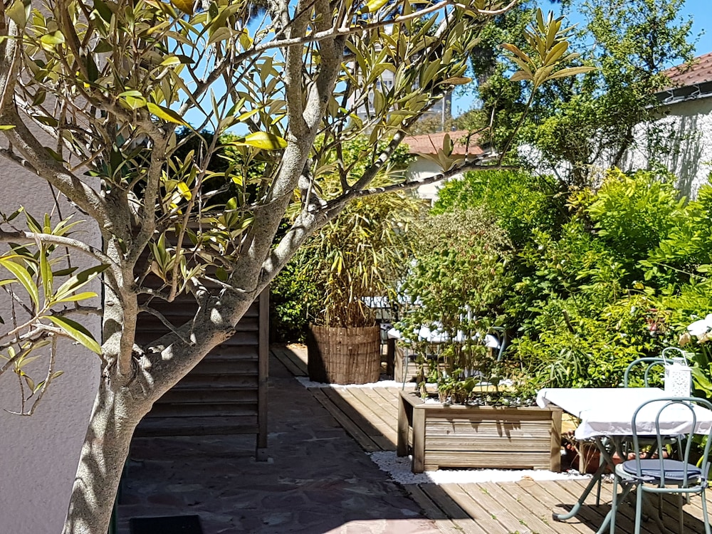 Comfort Double Room, 1 Double Bed, Terrace (Plus) photo 2