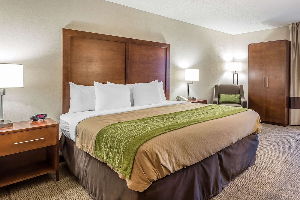 Standard Room, 1 King Bed, Non Smoking - Photo 1
