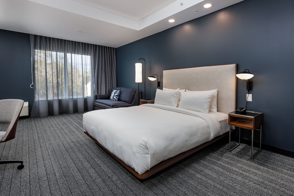 Room, 1 King Bed with Sofa bed (Mobility Accessible, Roll-In Shower) - Photo 4