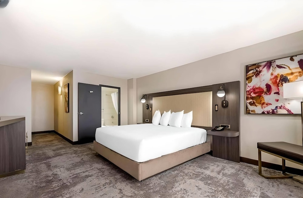 Room, 1 King Bed, Accessible, Non Smoking photo 2