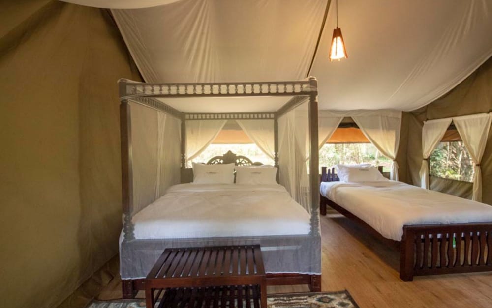 Executive Tent photo 3