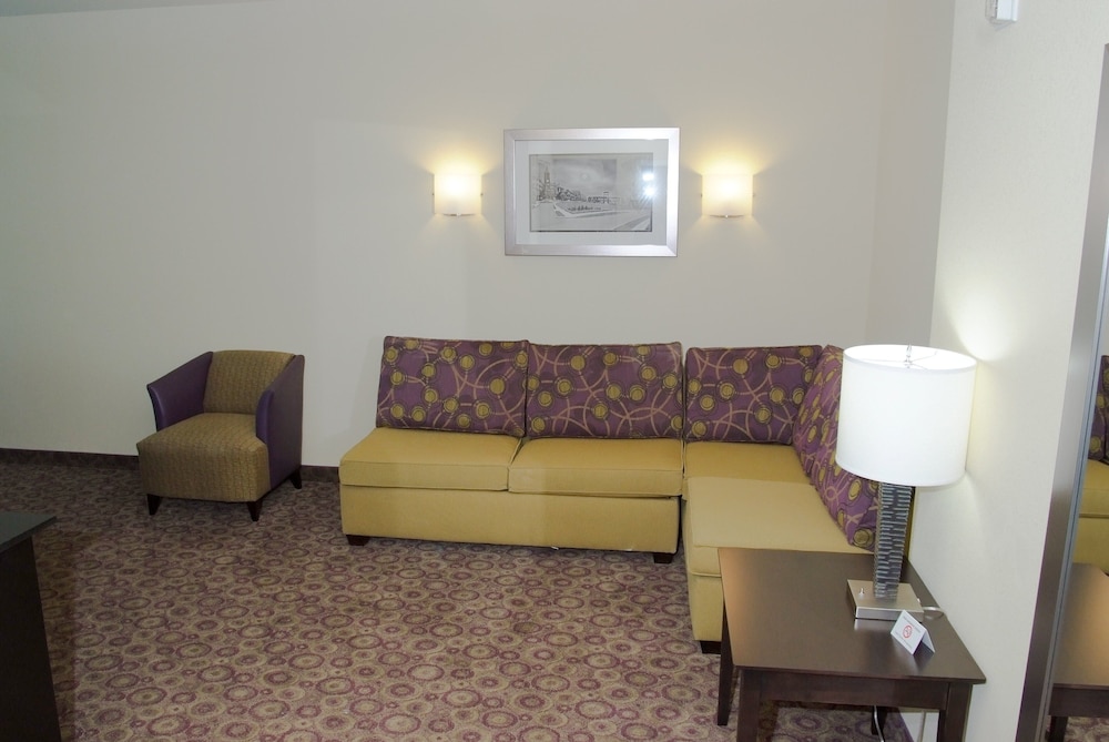 Studio Suite, 1 King Bed, Microwave (Minifridge)
