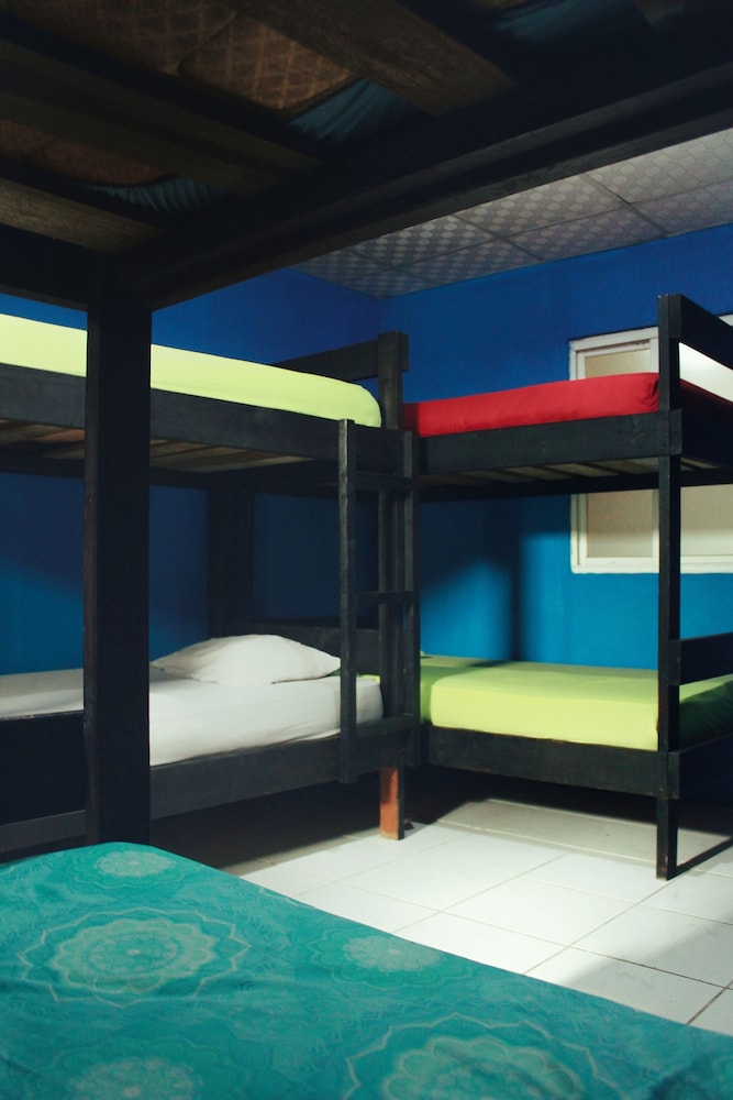 Basic Shared Dormitory photo 1