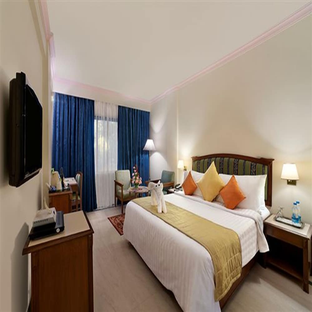 Superior Single Room, 1 King Bed photo 3