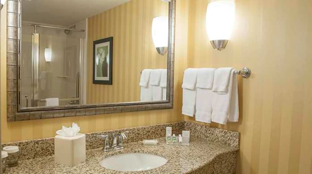 Suite, 1 King Bed, Accessible - Photo 4