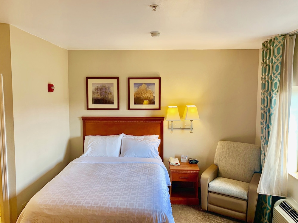 Studio Suite, 1 Queen Bed - Photo 4