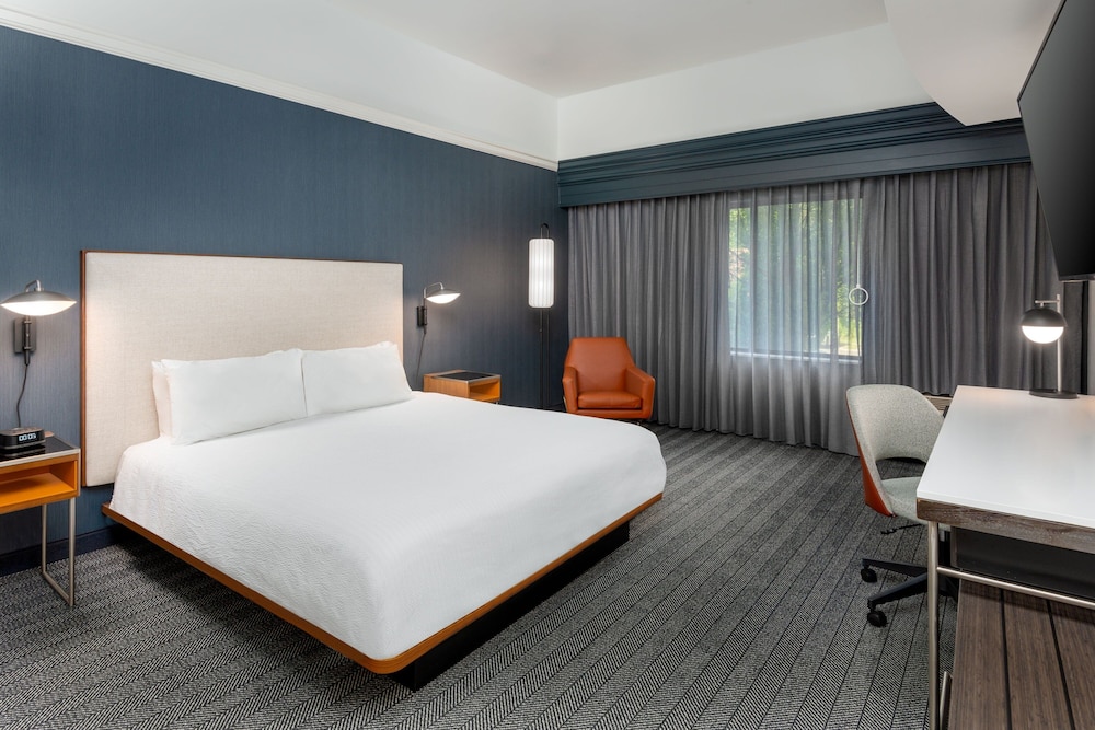 Room, 1 King Bed with Sofa bed (Hearing Accessible)