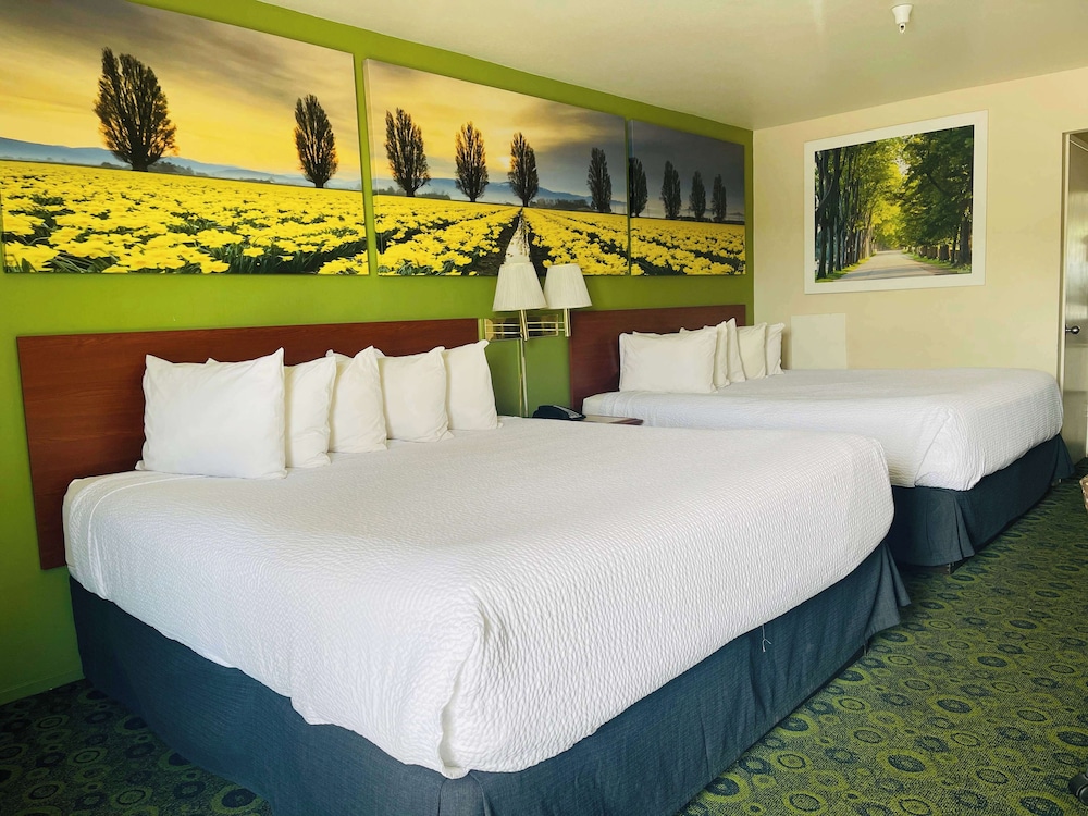 Room, Multiple Beds, Non Smoking - Photo 3