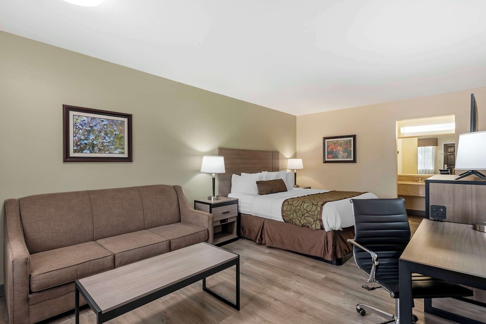Standard Room, 1 King Bed, Non Smoking, Refrigerator & Microwave (with Sofabed) - Photo 2
