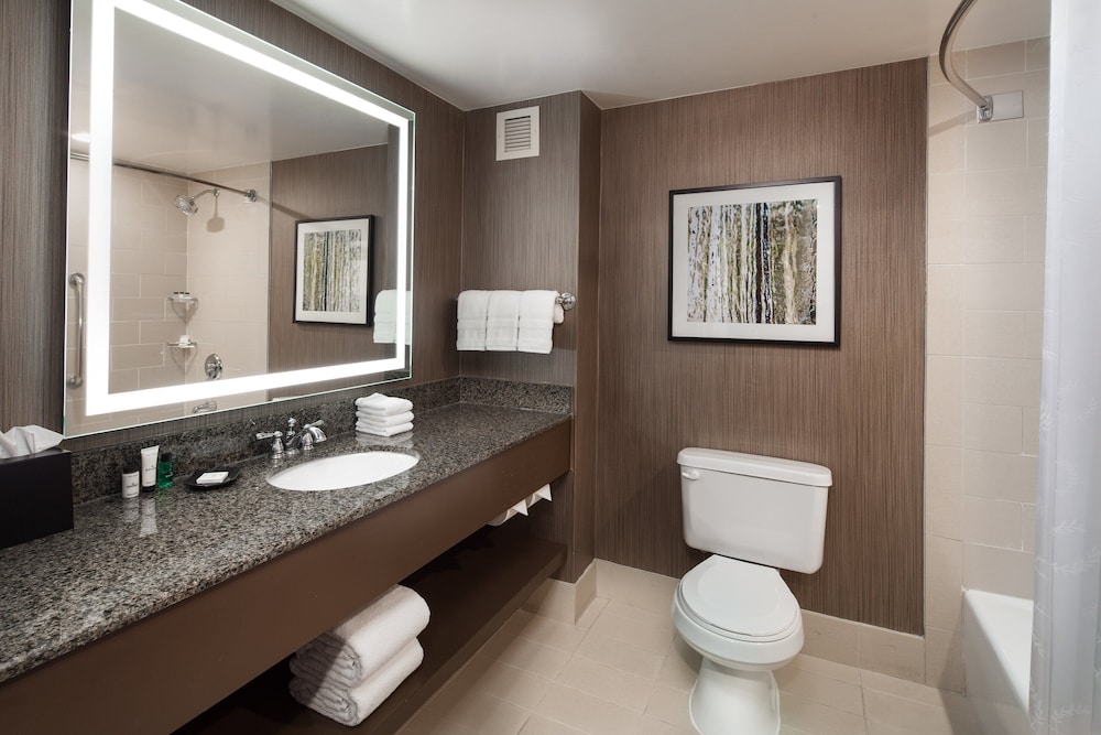 Room, 1 King Bed (Mobility/Hearing Access, Roll-In Shwr) - Photo 3