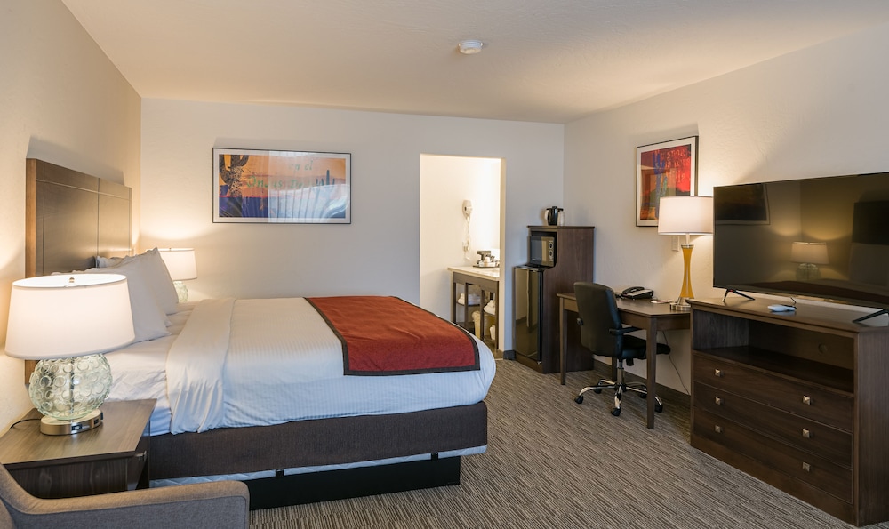 Comfort Single Room, 1 King Bed, Non Smoking - Photo 4