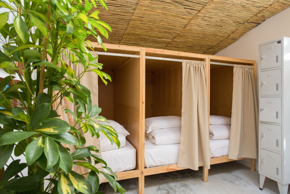 Bed in 6-Bed Mixed Dormitory Room