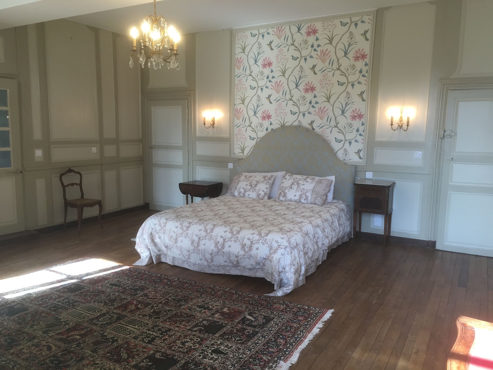 Suite (Hirondelle) photo 3