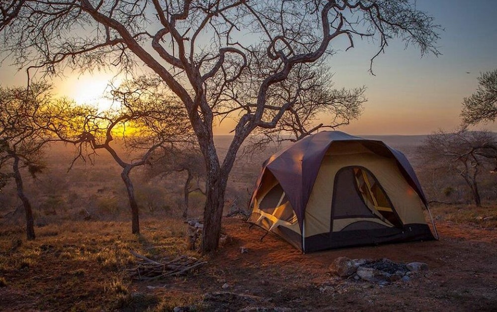 Tent