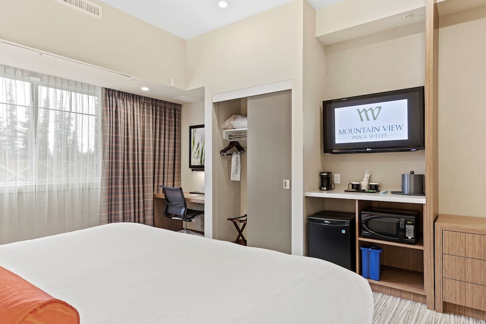 Standard Room, 1 King Bed, Accessible, Bathtub photo 2
