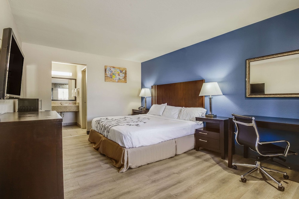 Standard Room, 1 King Bed, Smoking - Photo 7