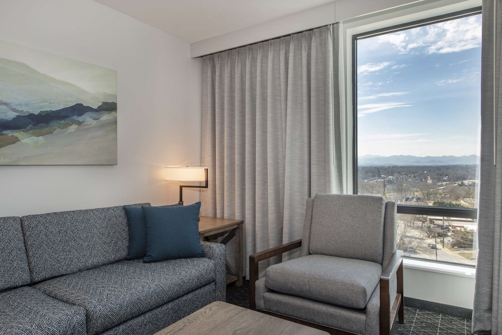 Suite, 1 King Bed, Bathtub (Mobility & Hearing) - Photo 4