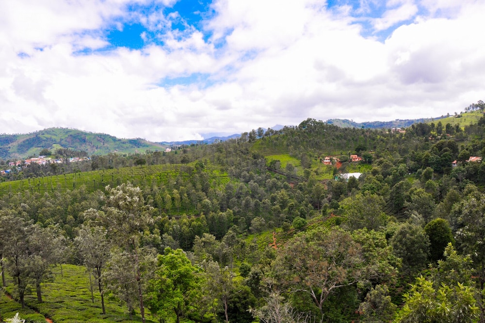 Double Room, Balcony photo 3