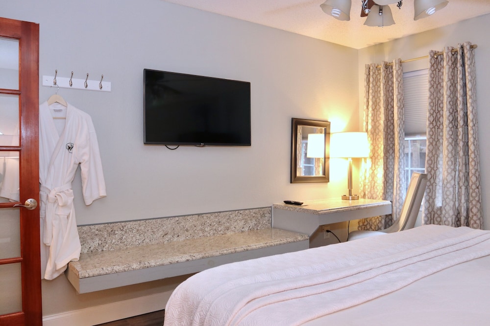 Suite, 1 King Bed with Sofa bed