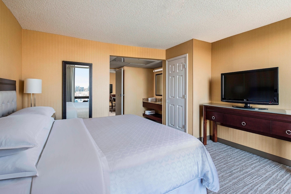 Suite, 1 Bedroom photo 3
