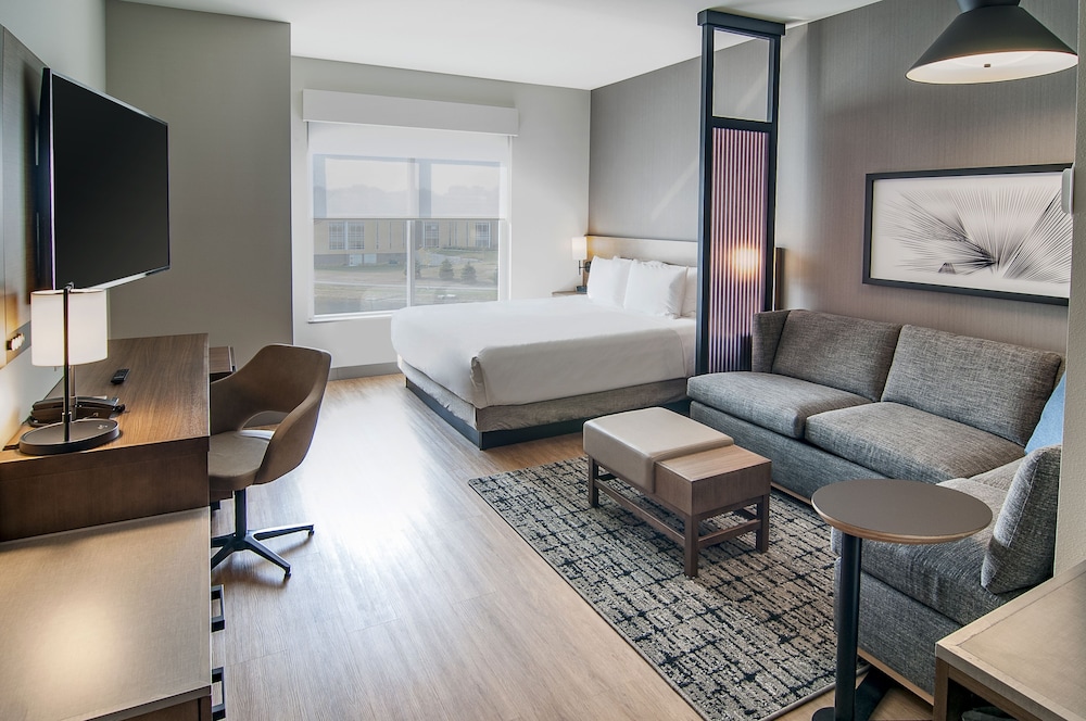 Room, 1 King Bed with Sofa bed, Accessible photo 1