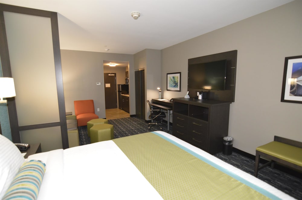 Suite, 1 King Bed with Sofa bed, Non Smoking, Kitchen (with Sofabed) photo 1