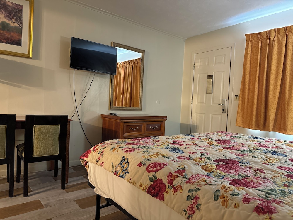 Single Room, 1 King Bed, Smoking photo 1